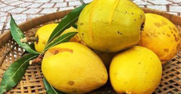 1 loại quả bán trên Amazon 1,5 triệu đồng/kg, ở chợ Việt chỉ vài chục nghìn đồng: Là “thuốc” chống ung thư tự nhiên