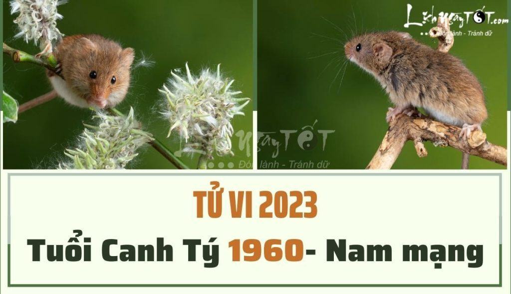 1 năm không thông thuận