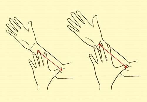 Hình dạng và độ dài ngắn của tướng bàn tay hé lộ tâm tính