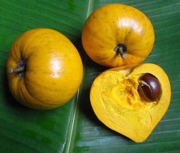 Cải thiện hệ tiêu hóa
