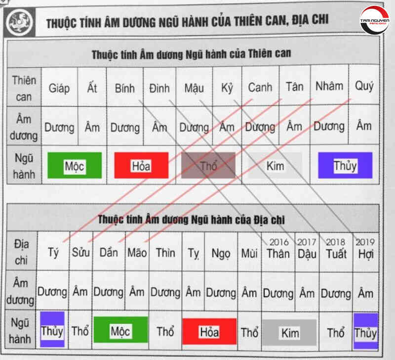 Thiên Can hợp với tháng sinh