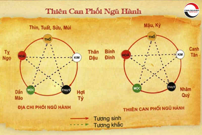 Thiên Can - Địa Chi trong Bát Tự