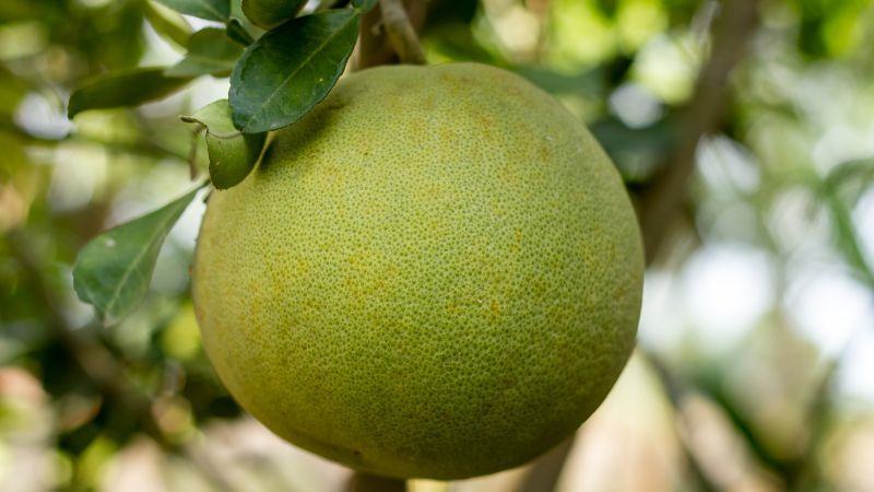 Cách xông nhà mới bằng thuốc bắc