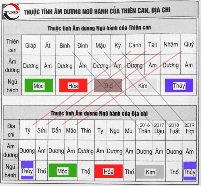 Thuộc tính âm dương của những tuổi xung khắc