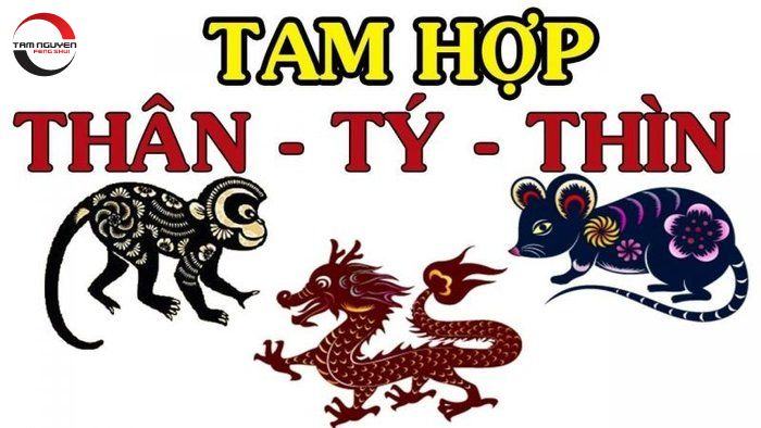 Tam hợp Tỵ - Dậu - Sửu