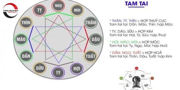 Ba con giáp tam hợp