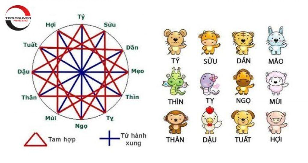 Tam Hợp Là Gì? Những Tuổi Tam Hợp Trong 12 Con Giáp
