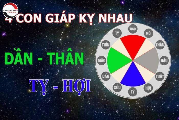 Ý nghĩa Dần - Thân - Tỵ - Hợi tứ hành xung