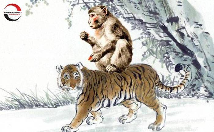 Xung khắc tuổi Dần - Thân