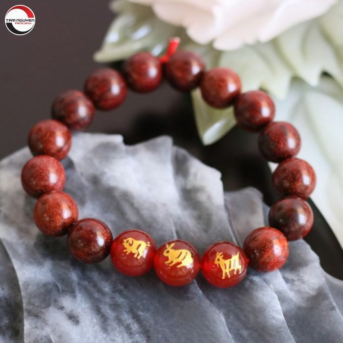 tuổi hợi tam hợp