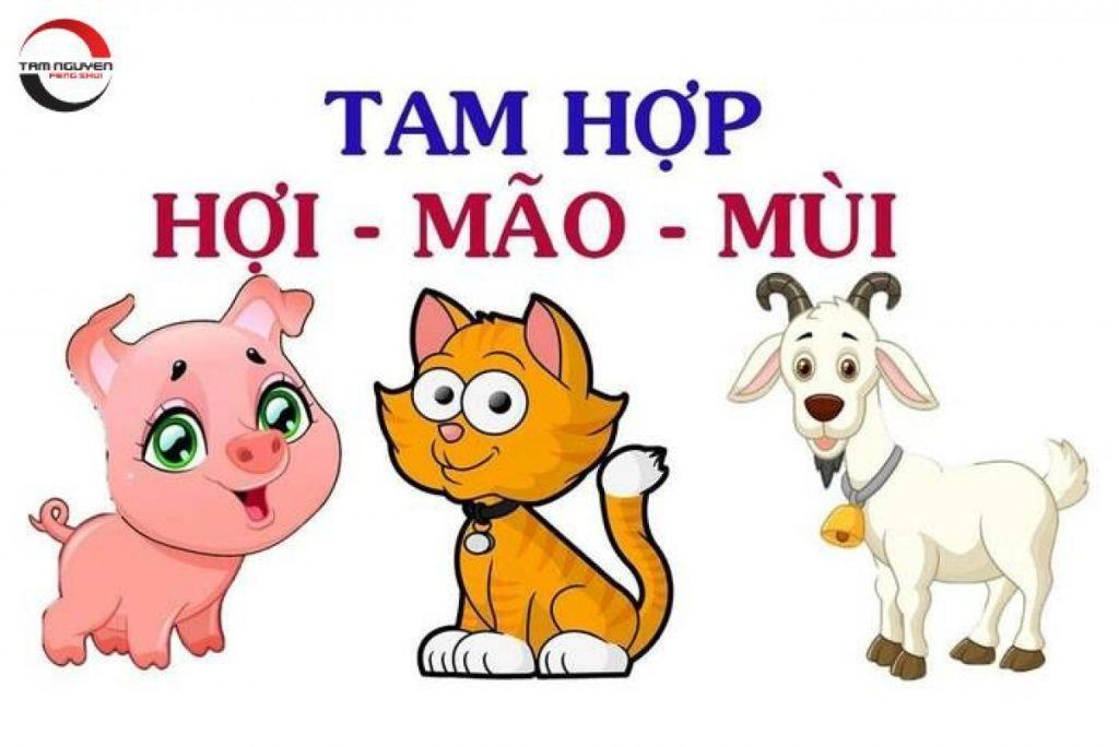 Tam hợp tuổi Hợi Mão Mùi hành gì? Những điều bạn cần biết