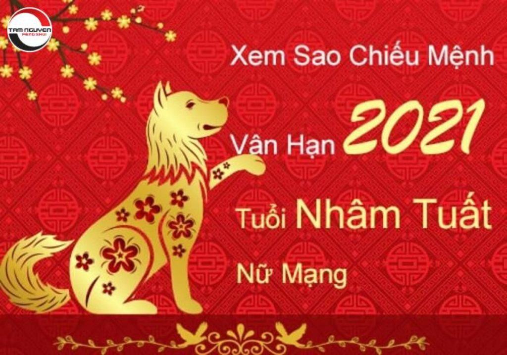 Tử Vi Tuổi Nhâm Tuất Năm 2022 Nữ Mạng Và Cách Hóa Giải