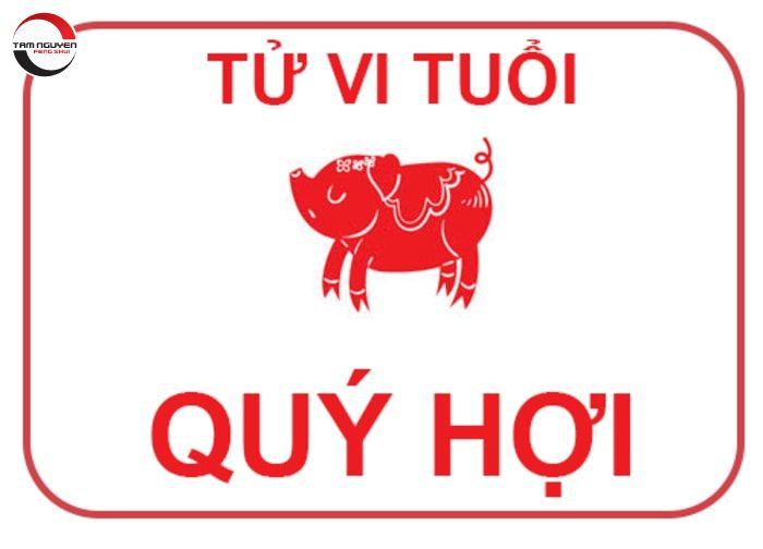 Vận hạn tuổi Quý Hợi