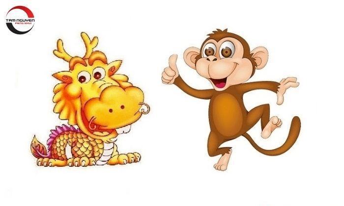 tam hợp với tuổi thìn