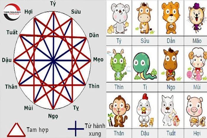 các cặp tam hợp và tứ hành xung