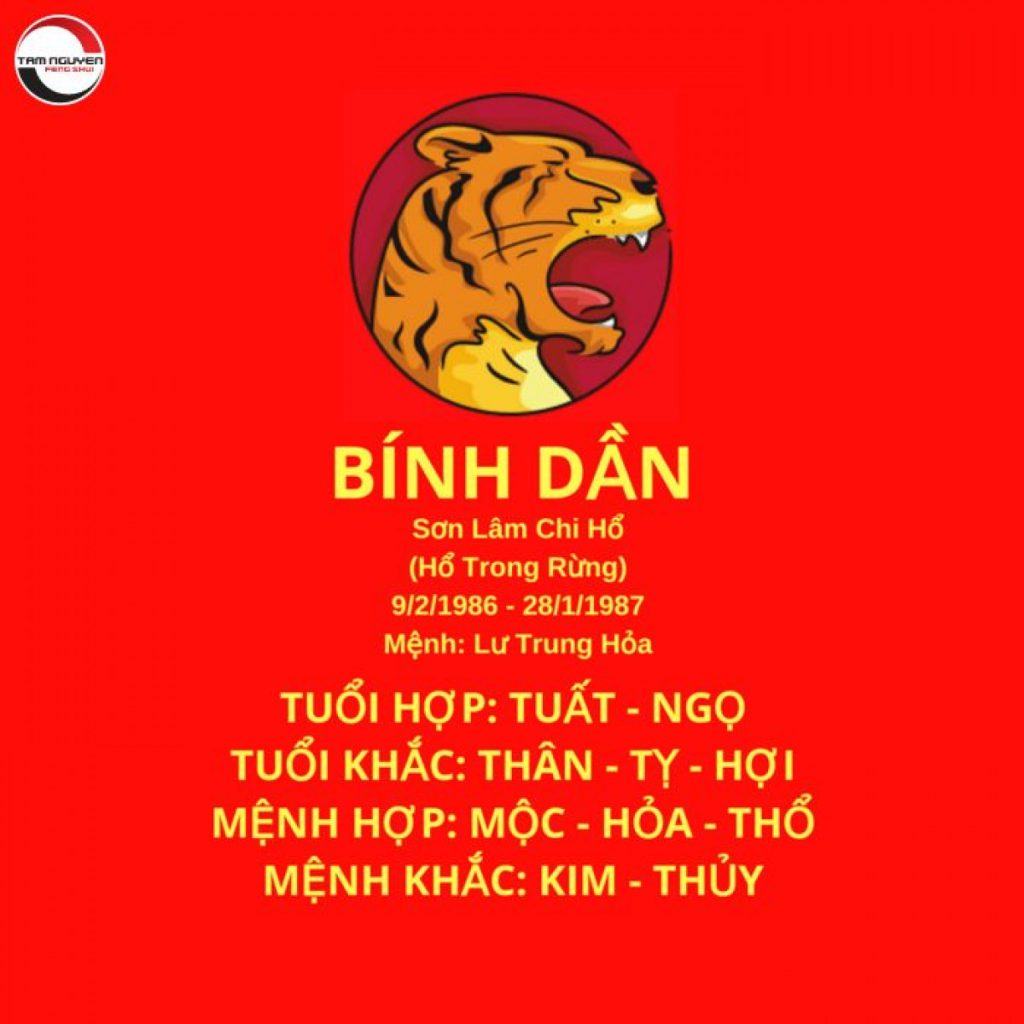 Xem Tử Vi Tuổi Bính Dần Năm 2022 Chi Tiết Nhất