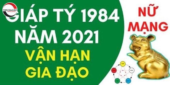 Vận hạn năm 2021 tuổi Giáp Tý