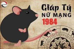 Tử vi tuổi Giáp Tý năm 2022 nữ mạng sinh năm 1984 chi tiết