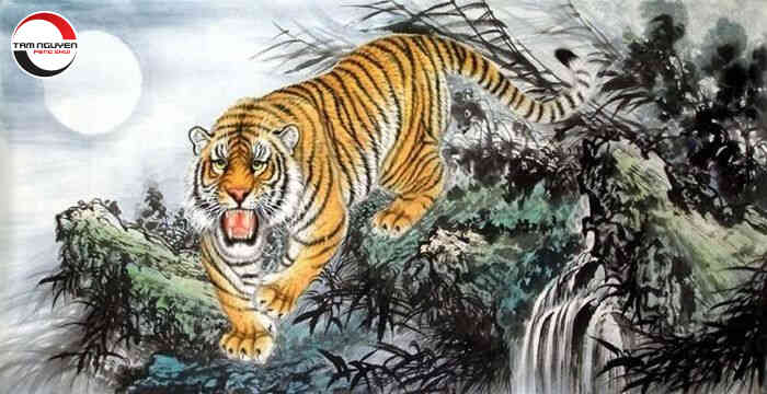 Sao chiếu mệnh tuổi Bính Dần nam mạng