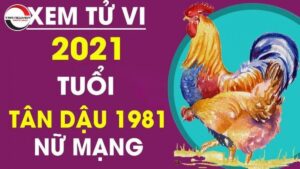 Luận Giải Tử Vi Tuổi Tân Dậu Năm 2022 Nữ Mạng Sinh 1981