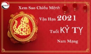 Xem Tử Vi Tuổi Kỷ Tỵ Năm 2022 Nam Mạng 1989 Chi Tiết Nhất