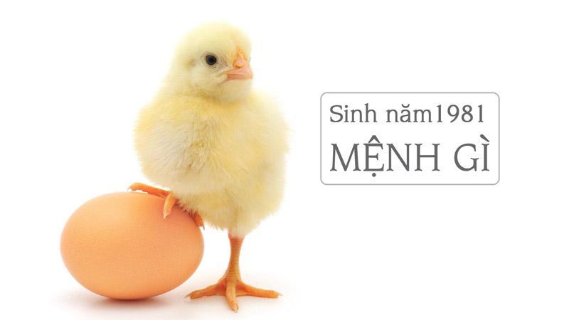 Sinh năm 1981 mệnh gì? Hợp đeo đá màu gì?