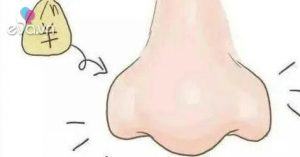5 quý tướng và thời điểm phát tài cho người may mắn sở hữu