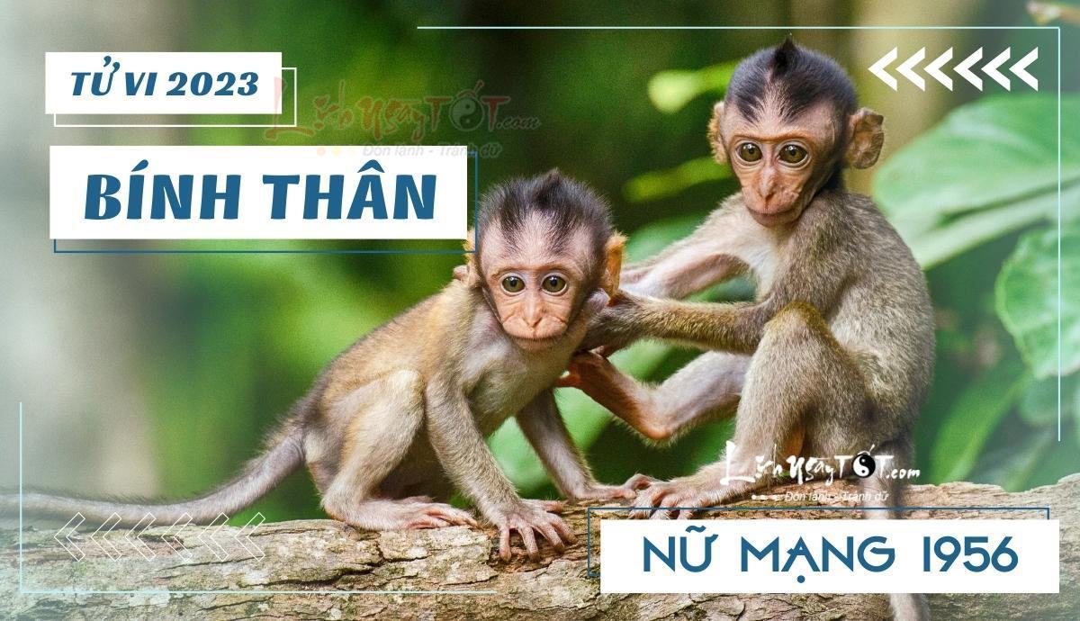 Tu vi 2023 tuoi Binh Than nu mang - Tu vi tuoi Binh Than nam 2023 nu mang