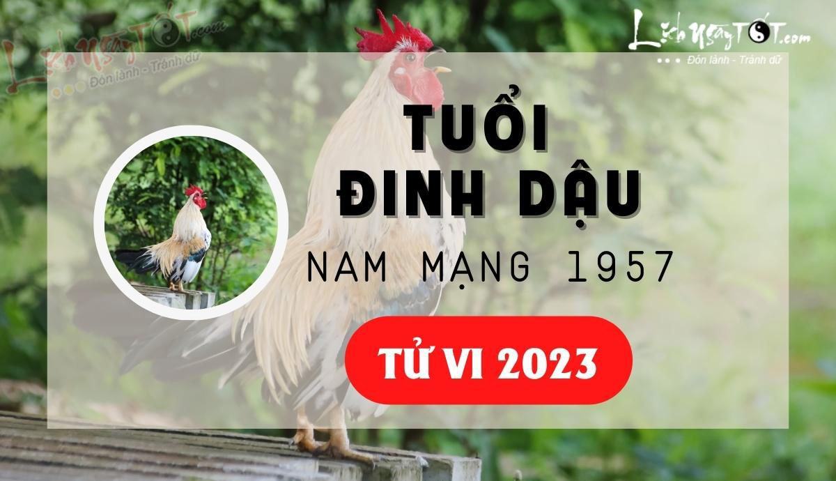 Tử vi 2023 tuổi Đinh Dậu nam mạng - Tử vi tuổi Đinh Dậu năm 2023 nam mạng Tu vi 2023 tuoi Dinh Dau nam mang - Tu vi tuoi Dinh Dau nam 2023 nam mang