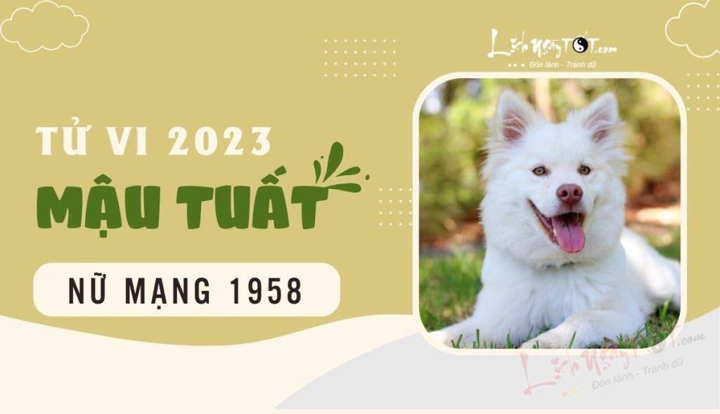 Đón tin vui ở nhiều mặt