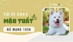 Đón tin vui ở nhiều mặt
