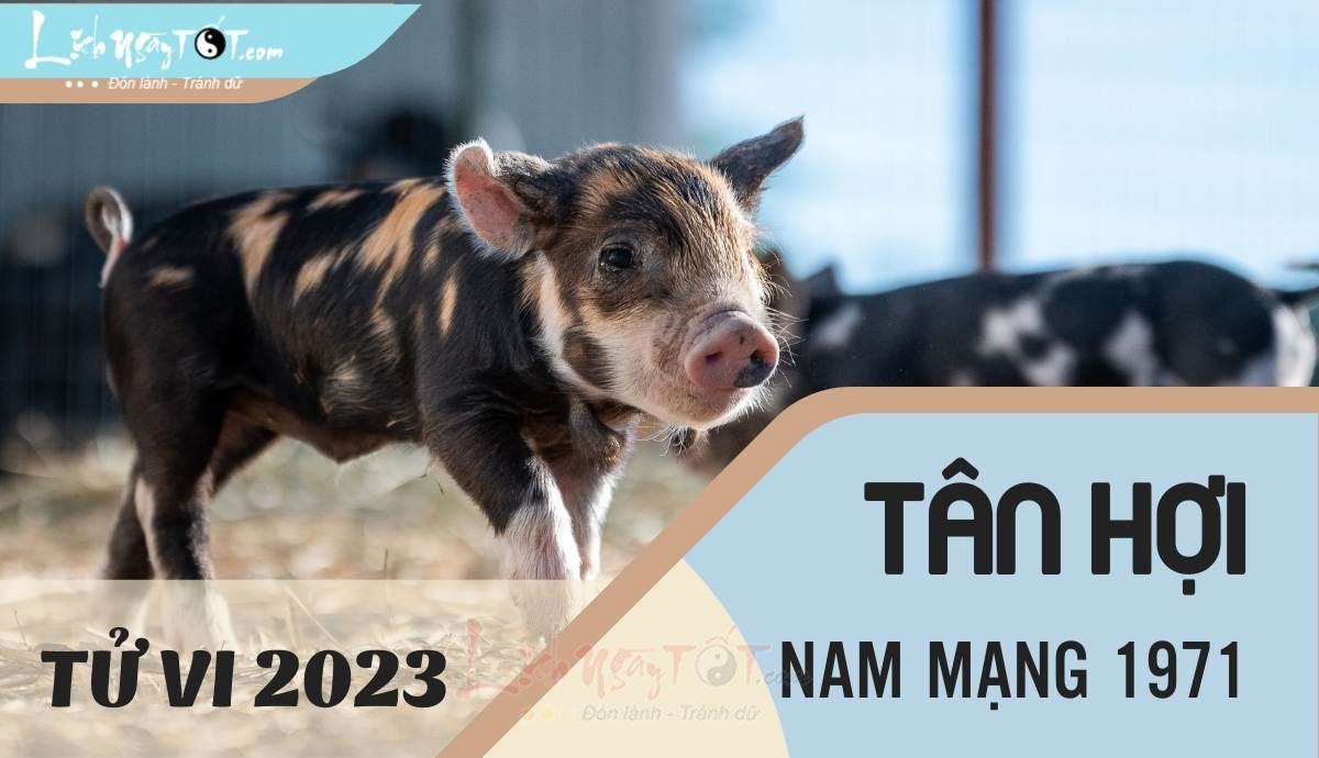 Tu vi 2023 tuoi Tan Hoi nam mang