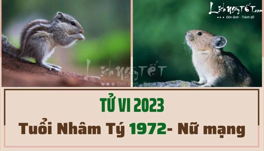 Đứng trước nhiều chông gai
