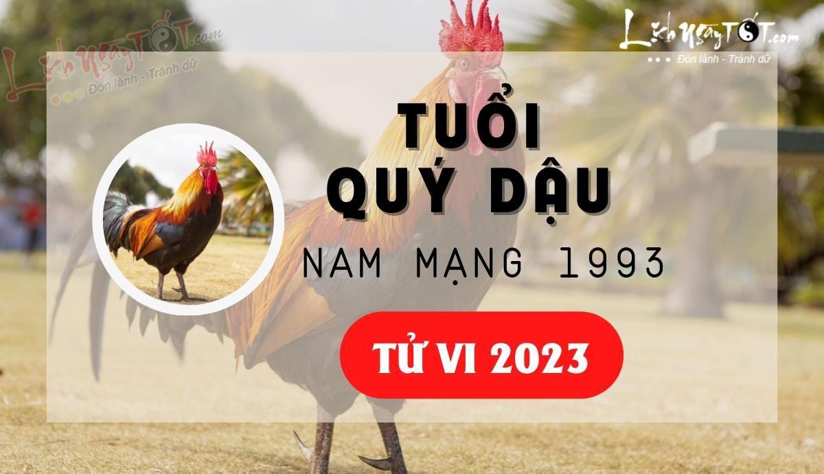 Tu vi 2023 tuoi Quy Dau nam mang