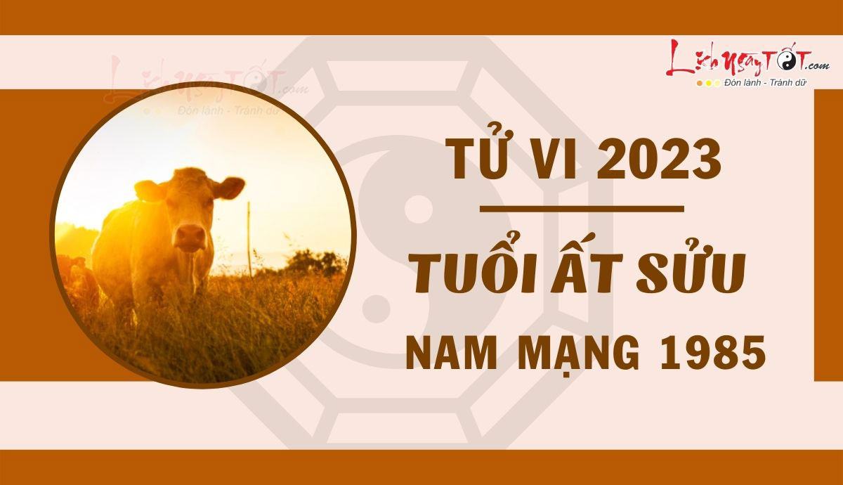 Tử vi 2023 tuổi Ất Sửu nam mạng Tu vi 2023 tuoi At Suu nam mang