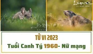 Hành sự thận trọng ắt bình an
