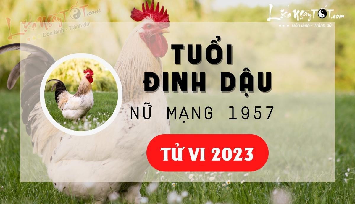 Tu vi 2023 tuoi Dinh Dau nu mang - Tu vi tuoi Dinh Dau nam 2023 nu mang