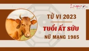 Khai mở tâm trí tiềm năng