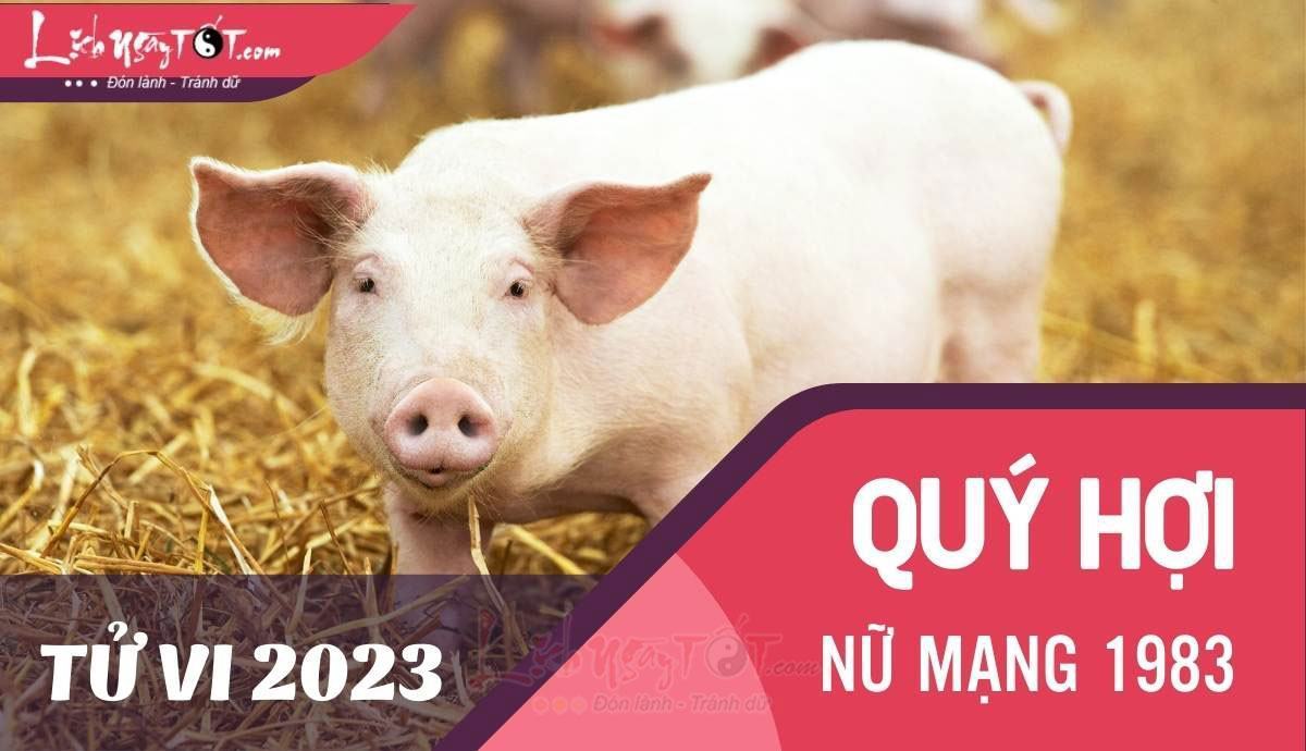 Tu vi 2023 tuoi Quy Hoi nu mang - Tu vi tuoi Quy Hoi nam 2023 nu mang