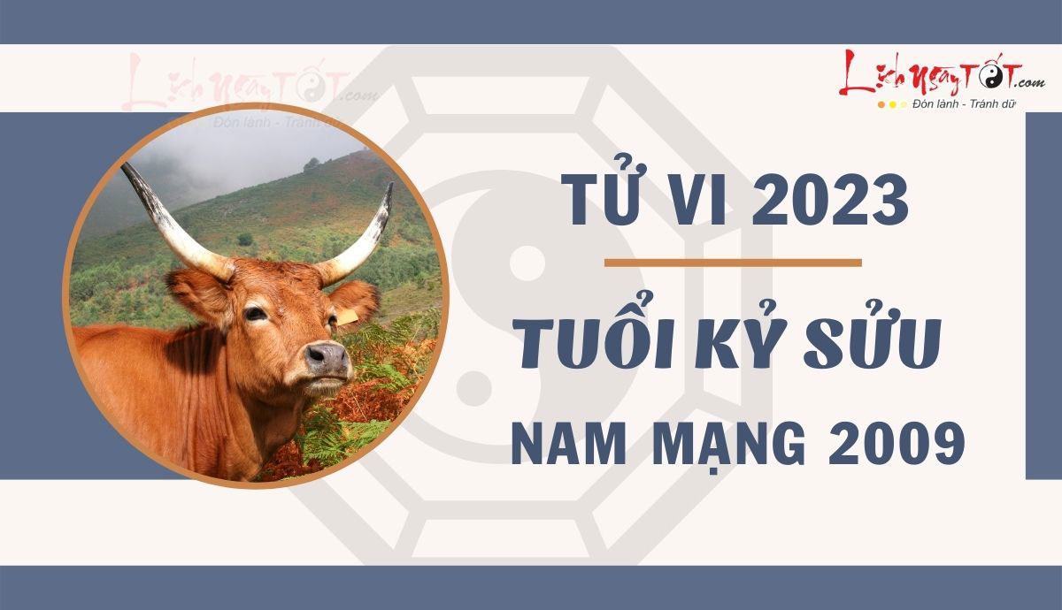 Tu vi 2023 tuoi Ky Suu nam mang