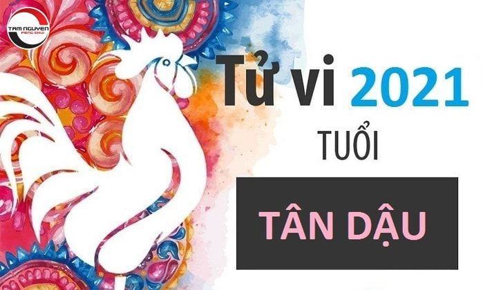 Tử vi tuổi Tân Dậu năm 2022 nữ mạng