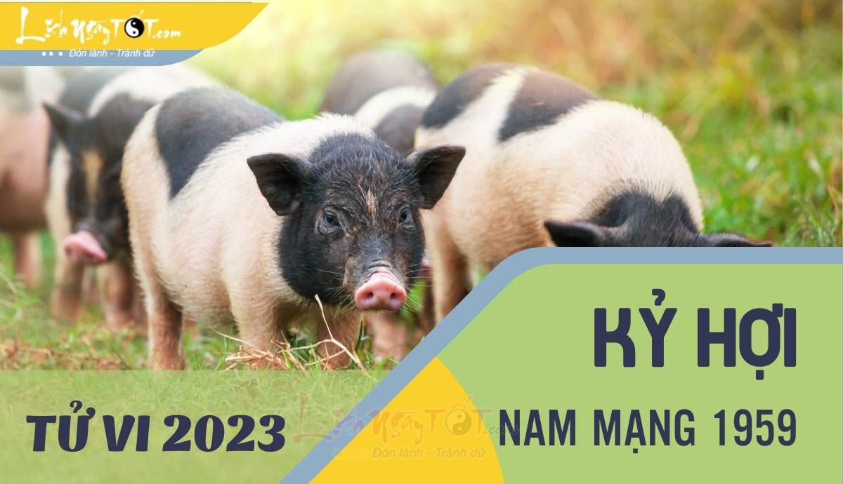 Tu vi 2023 tuoi Ky Hoi nam mang