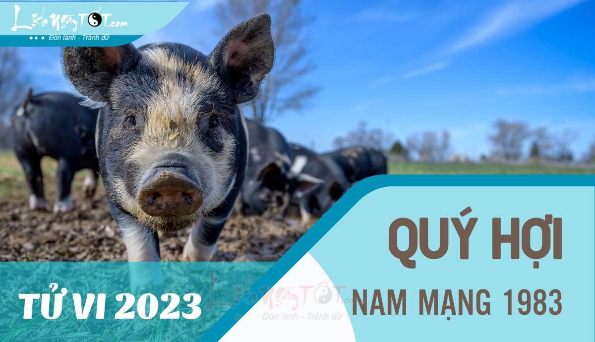 Tu vi 2023 tuoi Quy Hoi nam mang - Tu vi tuoi Quy Hoi nam 2023 nam mang