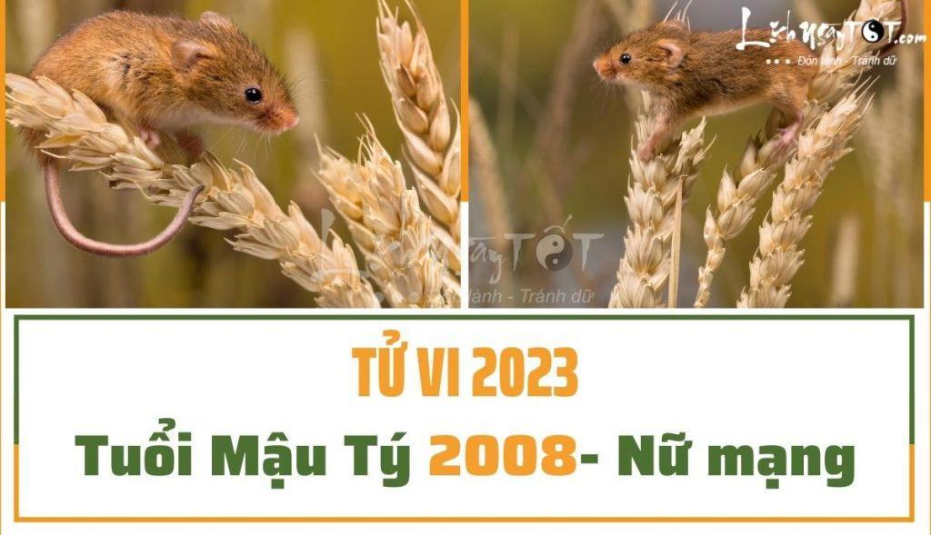 Nhiều thách thức và trải nghiệm
