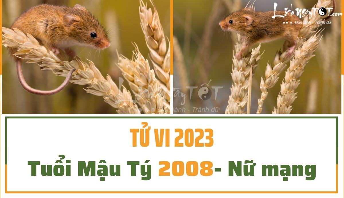 Tu vi 2023 tuoi Mau Ty nu mang 2008