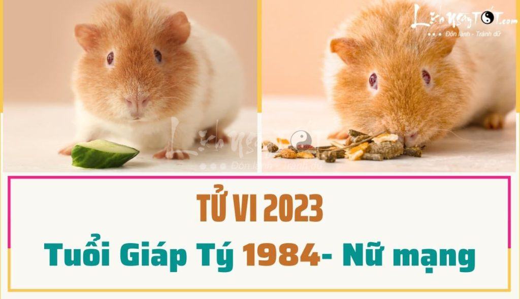 Nhiều tín hiệu tích cực