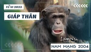 Nỗ lực được đền đáp xứng đáng