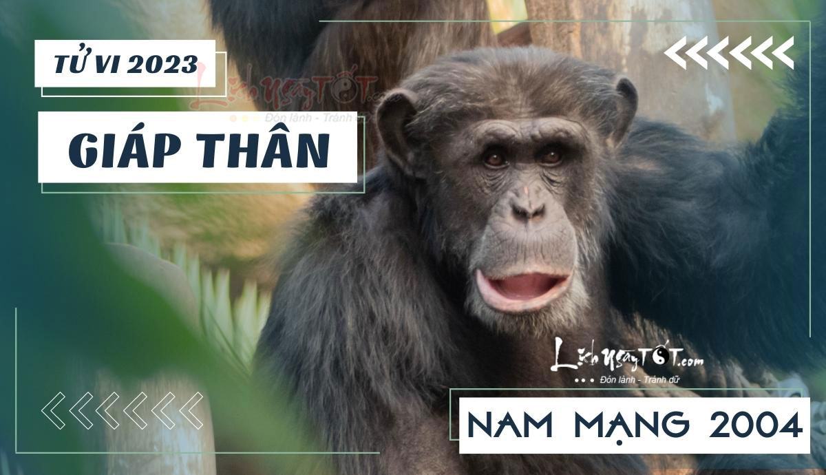Tu vi 2023 tuoi Giap Than nam mang - Tu vi tuoi Giap Than nam 2023 nam mang