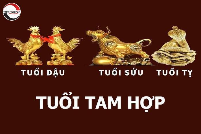 con giáp tam hợp