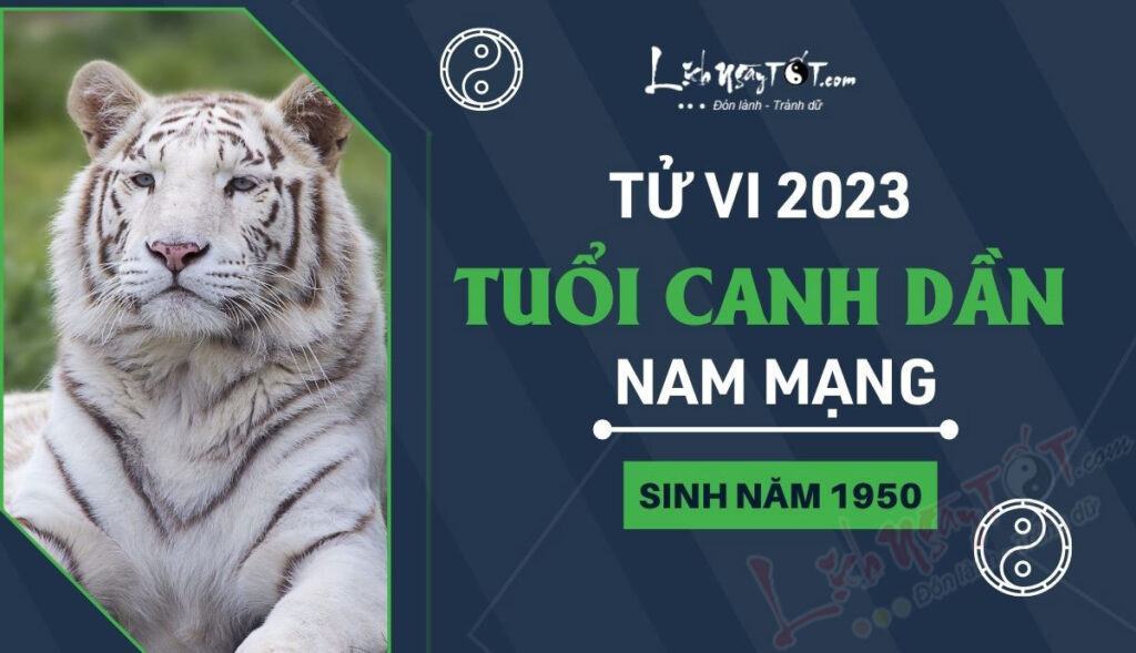 Tập trung an hưởng tuổi già